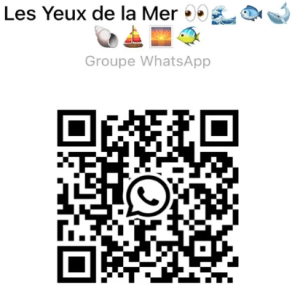 Capture d’écran 2025 03 13 095118