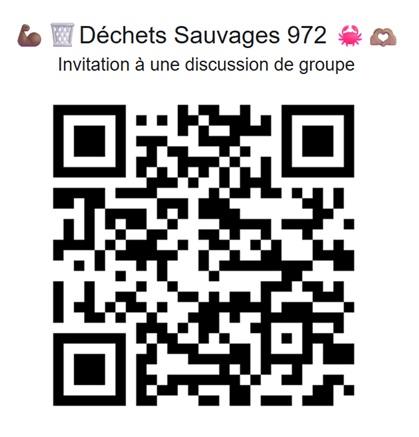 dechets sauvages 972