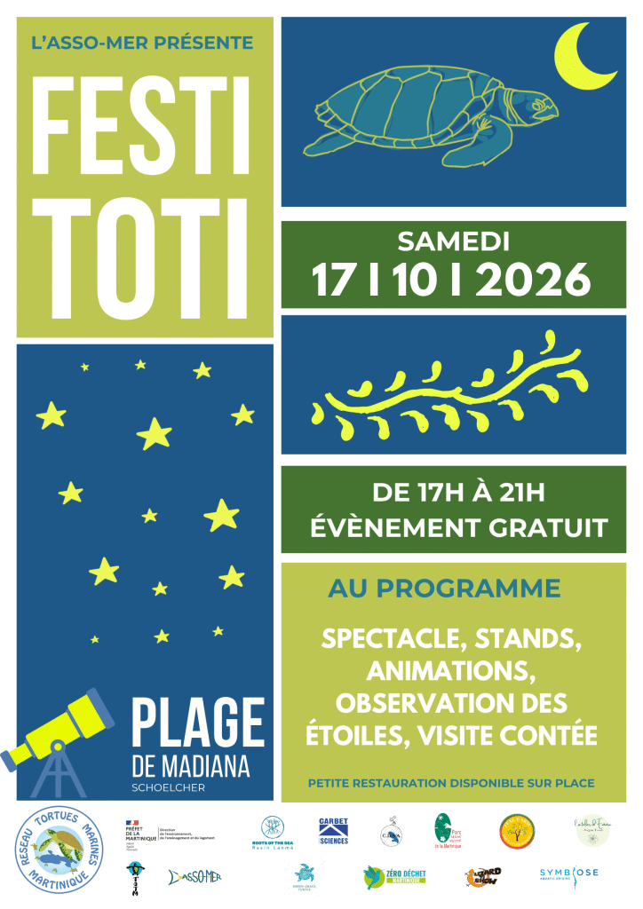 Affiche festi toti Affiche festi toti