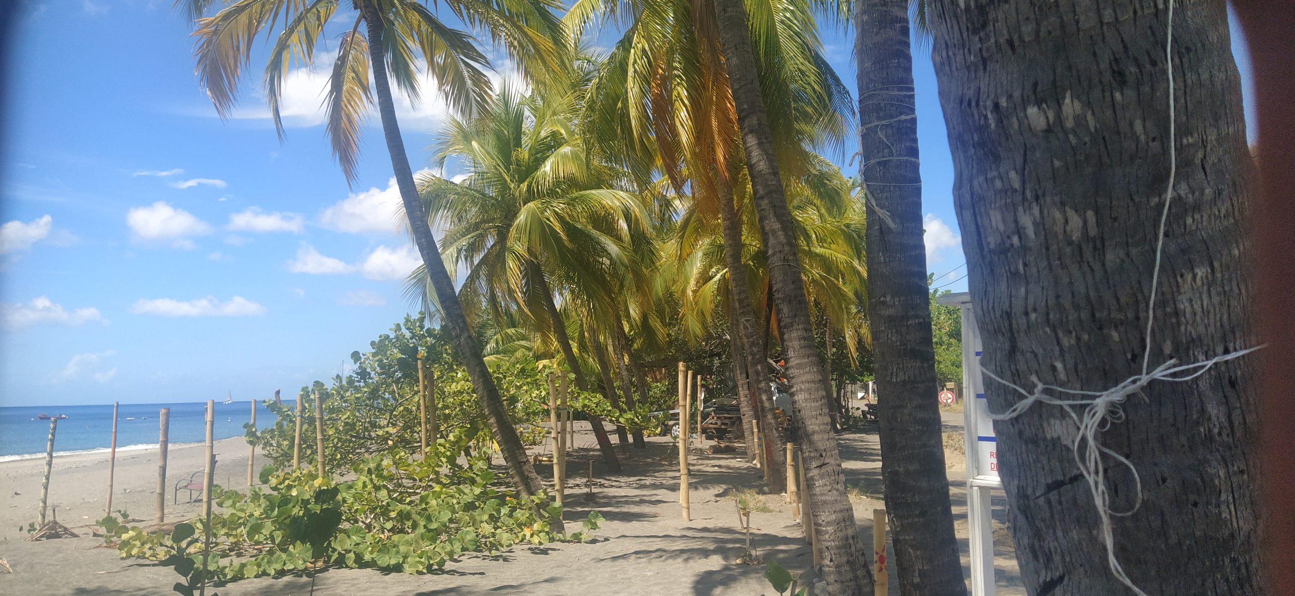 IMG 20260311 122620